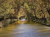 Canal otoñal