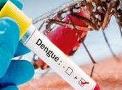 Evitamos propagación dengue...