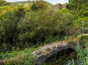 Pont