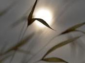 4.368 ahora nadie ve...