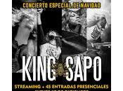 King Sapo Sala Rockville