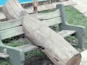 Apogeo, muerte resurrección tronco Resistencia