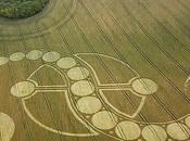 Curioso crop circle aparecido justo ayer forma serpiente ¿Que quieren decir? ¿Una fecha agosto vez?