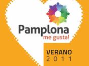 Cenas Vinos Tapas Pamplona gusta! 2011