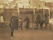 Sorolla Extremadura