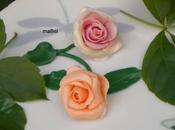 Rosas caramelos masticables