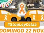 Cochefestacíon Madrid… educación