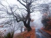 Ganadores Concurso Fotografía RBALE