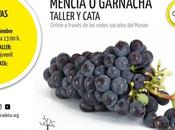 Mencía garnacha, nuevo ciclo taller cata telemática Museo Energía