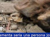 Encuentran cráneo cerro virgen...