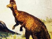 Corythosaurus (Fake Science)