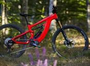 E-Bike Xtep Carbon Lynx revisión fondo