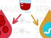 Sangre hemoderivados: productos plaquetarios plasma