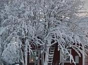 Laponia Sueca, viaje frío hermoso