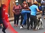 tierra cálida distrito violento...