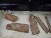 Redescubren artefacto egipcio Escocia dentro caja cigarros