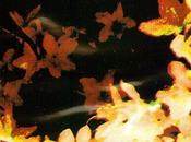 Inside november days 1996]