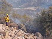 Preocupa activistas incendio Sierra Miguelito