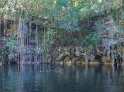 Cenotes turismo comunitario: viaje experiencias completas Yucatán