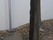 Imagen mes: Menhir Cardenchosa, término Azuaga