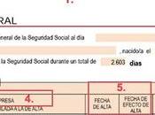 Cómo interpretar informe vida laboral