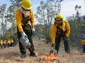 Disminuyen incendios forestales segundo consecutivo áreas naturales protegidas edoméx