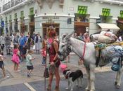 Hospitaleros Voluntarios, boletín informativo, enero 2021