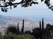 Podcast: Conociendo naturaleza través NaturalWalks