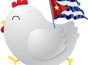 Reproducen Villa Clara única gallina oriunda Cuba