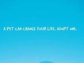 Mascota cambia vida.