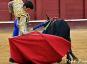 TOMÁS CAMPOS VENCEDOR (Final Certamen Escuelas Taurinas Malagueta”)