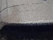 nieve bella