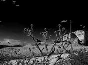 Habitantes ruinas