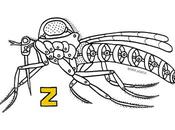 Dibucedario 2021 Zacundo