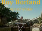 DESCUBRE hermoso acústico BORLAND: `TREE´