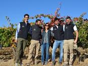 Viñas Lago 2016