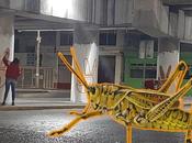 Nava tapiza ciudad ahora color naranja