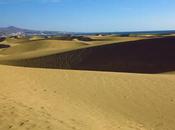 Dunas Charca Maspalomas: tesoros peligro