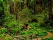 4.460 largos senderos...