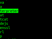 Generación automática reverse bind shells Shellerator