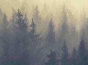 Litwick's Guide Forgetful Forest, MNichol Writing