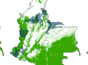 Diario Cuarentena: Capítulo Ciento Sesenta Uno: Sobre cómo ejército paramilitarismo colombiano vienen actuando despliegue operaciones psicológicas contra Venezuela.