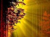 4.470 hoy, palomas...