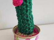 Cactus twenty-seven