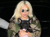 Lady Gaga ofrece $500.000 como recompensa mascotas