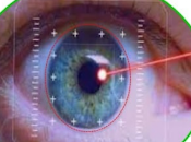 IVIC regenerara articulación mandibular corneas células madres