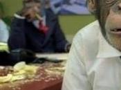 Capturados capturar como monos