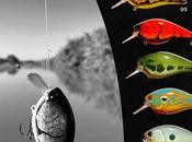 Crankbait roca"