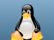 Mejorar seguridad navegar Linux