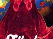 g/z/r Plastic Planet (1995)